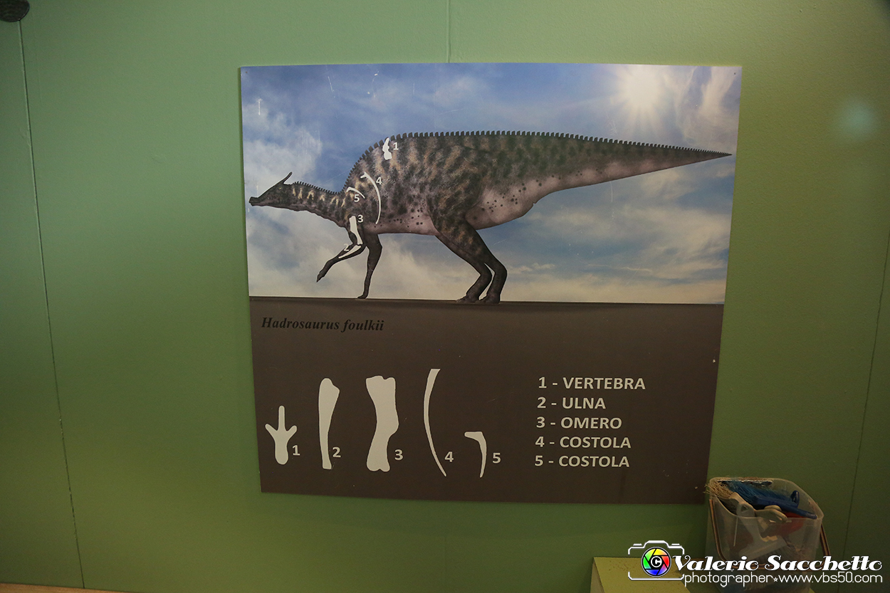 VBS_0985 - Dinosauri. Terra dei giganti.jpg